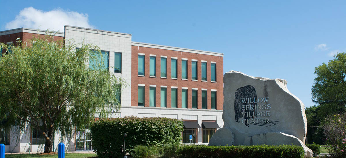 Party Tent Rental in Willow Springs IL Affordable Backyard Tents