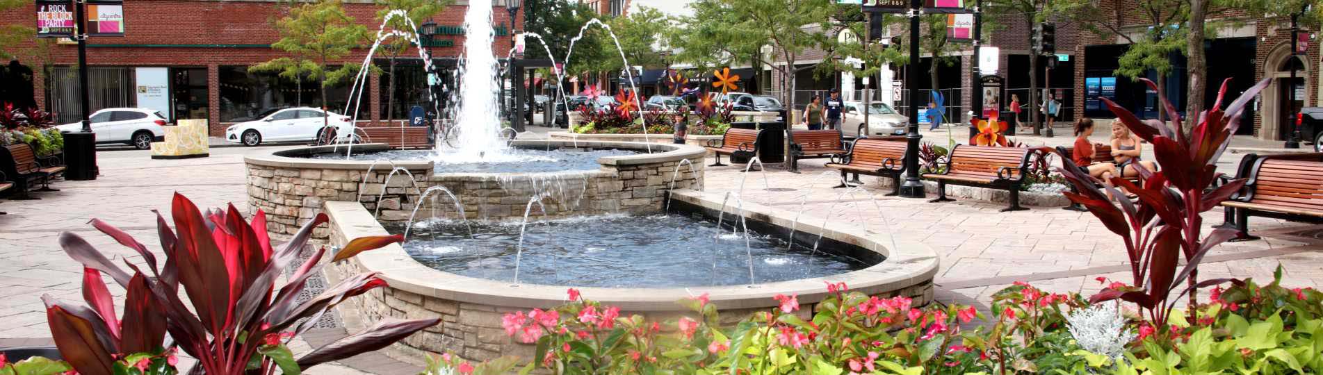 Party Tent Rental Elmhurst IL Affordable Backyard Tents